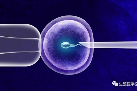 女人南京代生孩子的最佳年龄段 一辈子生几个孩子最好